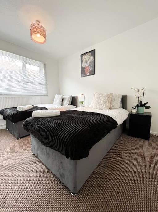 3 Bedroom House With Free Parking Chatham  Eksteriør billede